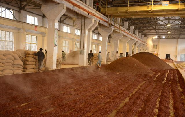 Sauce Aroma Baijiu, a laborious process !