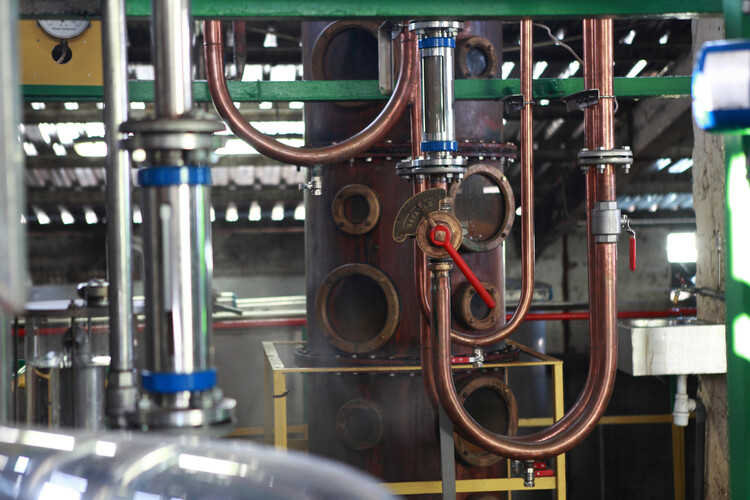 Guadeloupe still-strength rums reveal the distillate’s aromatic backbone